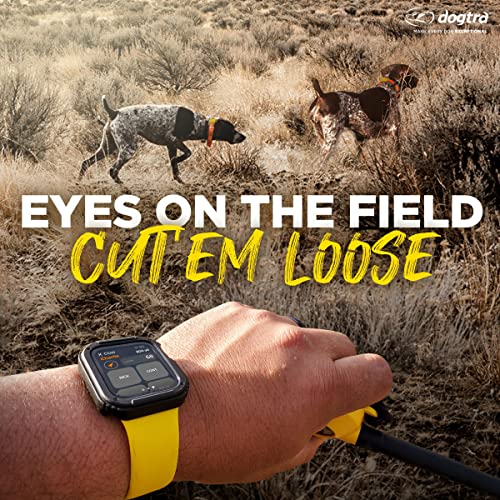 Dogtra Pathfinder 2 GPS Dog Training Collar with Remote for Hunting A281259