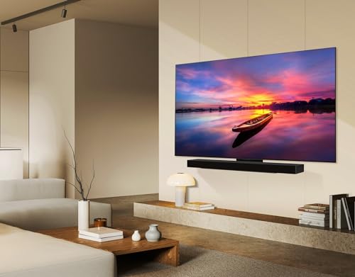 LG 65-Inch Class OLED evo C4 Series Smart TV 4K with Magic Remote E146