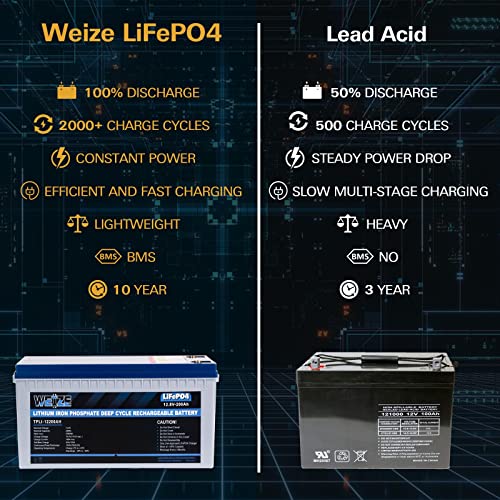 Weize 12V 100Ah LiFePO4 Lithium Battery with Smart BMS D8810