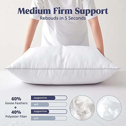 puredown® Goose Feathers and Down White Pillows King Size Set of 2 G471477