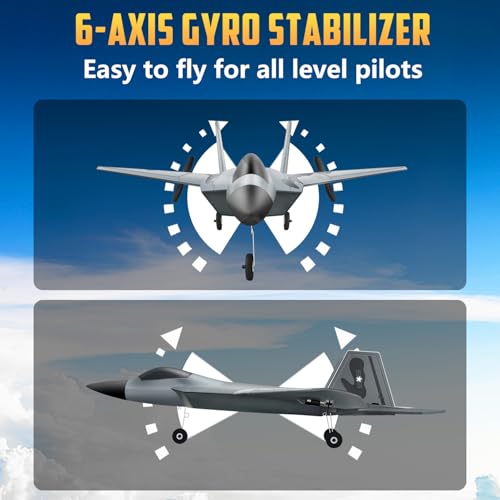 HAWK'S WORK 2 CH RC Airplane F-22 Ready to Fly 2.4GHz A3792