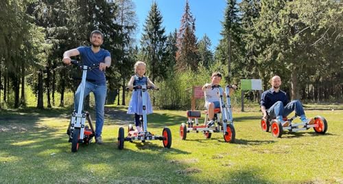 Electric Go Kart for Kids Ages 5-18, 800W Brushless Motor, Battery Powered Ride-On D921