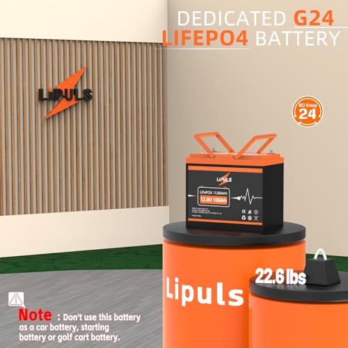 12.8V 100Ah LiFePO4 Battery, Group 24, Built-in 100A BMS L509