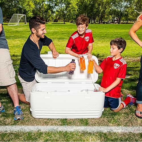 Igloo Insulated Portable Hard Shell Ice Chest Cooler L6107