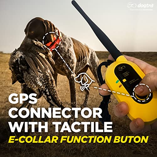 Dogtra Pathfinder 2 GPS Dog Training Collar with Remote for Hunting A281259