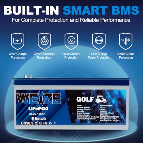 Weize 12V 100Ah LiFePO4 Lithium Battery with Smart BMS D8810