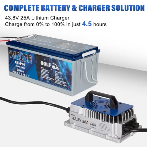 Weize 12V 100Ah LiFePO4 Lithium Battery with Smart BMS D8810