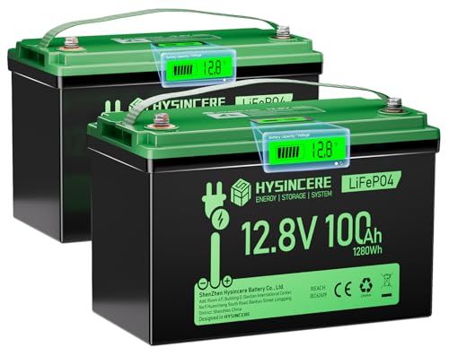 12V 100Ah LiFePO4 Lithium Battery with 100A BMS U8311