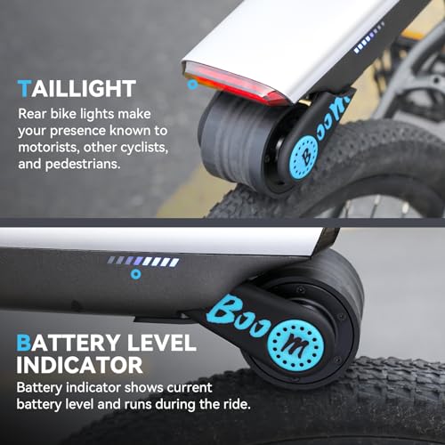 BAOSHISHAN Electric Bike Conversion Kit for Mountain and Road Bike, 31 Miles Range, Blue X540