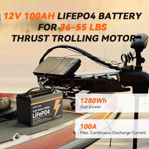 12V 100Ah LiFePO4 Battery Group 31 with Built-in 100A BMS G9732