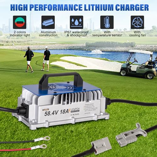 Weize 12V 100Ah LiFePO4 Lithium Battery with Smart BMS D8810