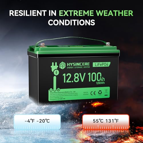 12V 100Ah LiFePO4 Lithium Battery with 100A BMS U8311