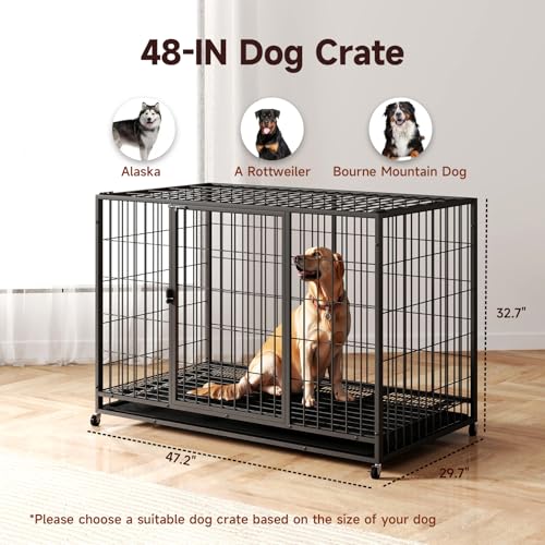 48 Inch Heavy Duty Dog Crate with Wheels and Double Door A25580
