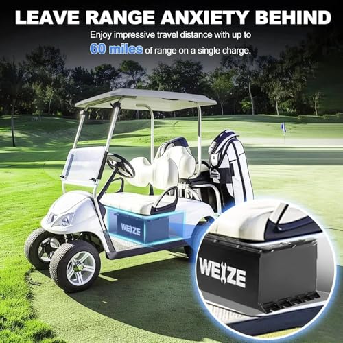 Weize 12V 100Ah LiFePO4 Lithium Battery with Smart BMS D8810