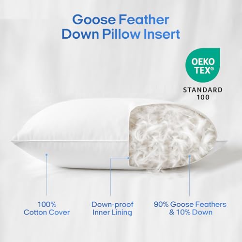 puredown® Goose Feathers and Down White Pillows King Size Set of 2 G471477