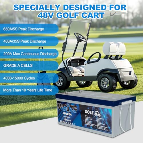 Weize 12V 100Ah LiFePO4 Lithium Battery with Smart BMS D8810