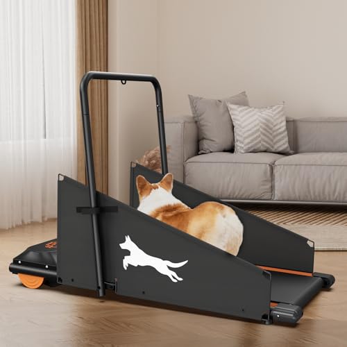 Dog Treadmill for Small & Medium Dogs with LCD Display K4230