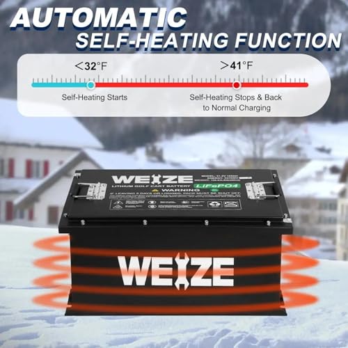 Weize 12V 100Ah LiFePO4 Lithium Battery with Smart BMS D8810