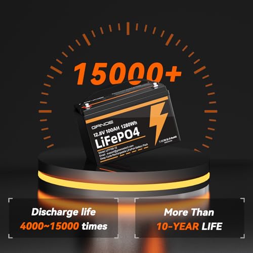 12V 100Ah LiFePO4 Battery Group 31 with Built-in 100A BMS G9732