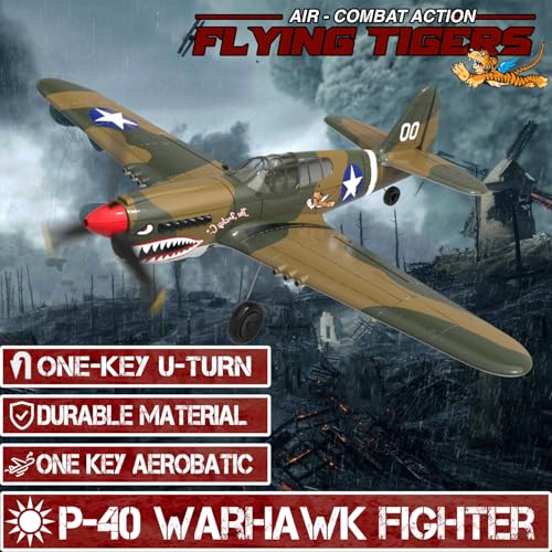 LEAMBE RC Plane P-40 Warhawk 4 Channel Remote Control Airplane Ready to Fly U9044