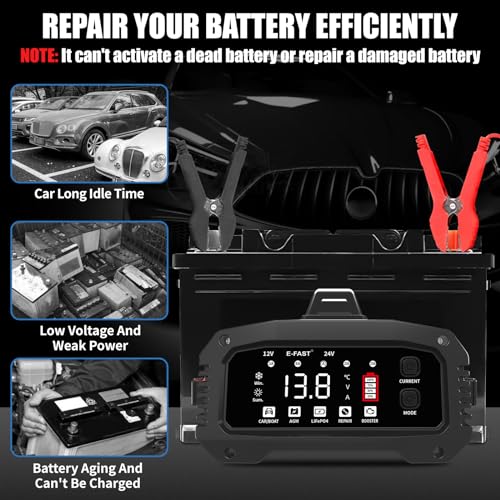 E-FAST 25A Battery Charger 12/24V LiFePO4 Lead Acid Car Battery Maintainer H400