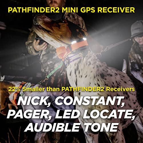 Dogtra Pathfinder 2 GPS Dog Training Collar with Remote for Hunting A281259