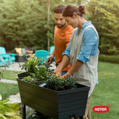 Keter Urban Bloomer 12.7 Gallon Raised Garden Bed Planter, Dark Grey A865