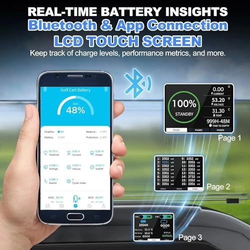 Weize 12V 100Ah LiFePO4 Lithium Battery with Smart BMS D8810