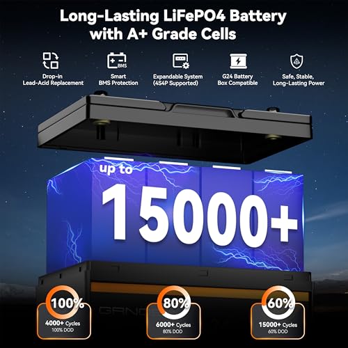 2-Pack 12V 100Ah LiFePO4 Automotive Batteries with 100A BMS, Group 24 S3875
