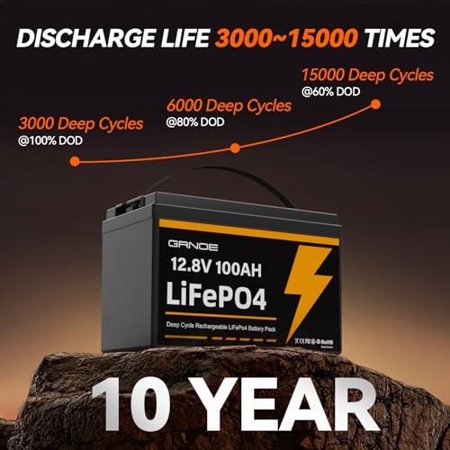 12V 100Ah LiFePO4 Battery Group 31 with Built-in 100A BMS G9732