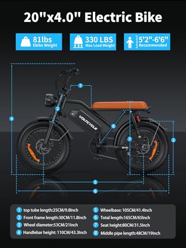Electric Bike for Adults 48V 500W 20" Fat Tire Full Suspension E-Bike C254