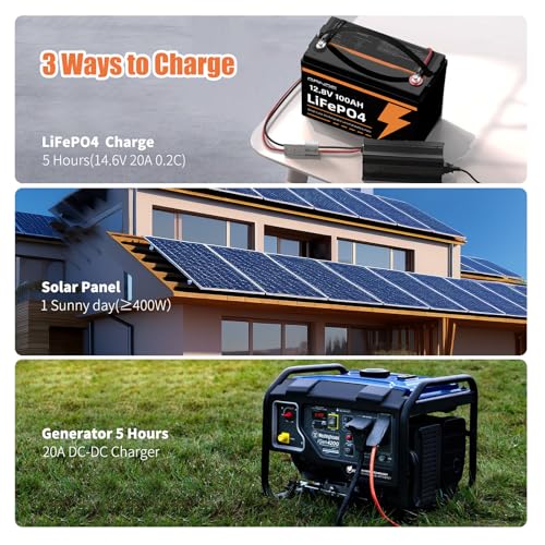 12V 25Ah LiFePO4 Battery with Built-in 20A BMS Q9551