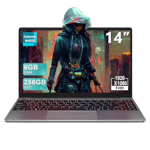 14 Inch Laptop Windows 11 256GB SSD Celeron N4020 Gray S455
