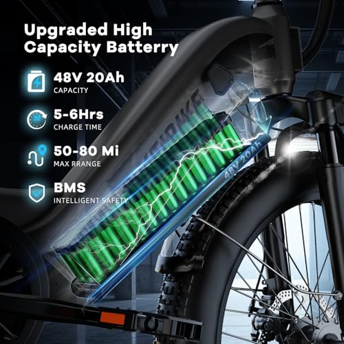 1500W Electric Bike for Adults, 48V 20AH Removable Battery Step-Thru, 24" Fat Tire Y988340