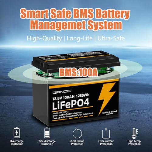 12V 100Ah LiFePO4 Battery Group 31 with Built-in 100A BMS G9732