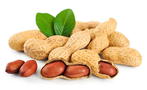 Fruidles Raw Peanuts in Shell, 25 Pound Bag C956862