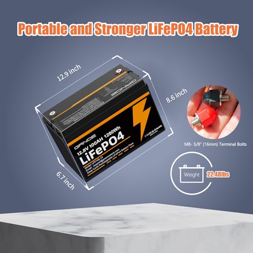 12V 100Ah LiFePO4 Battery Group 31 with Built-in 100A BMS G9732