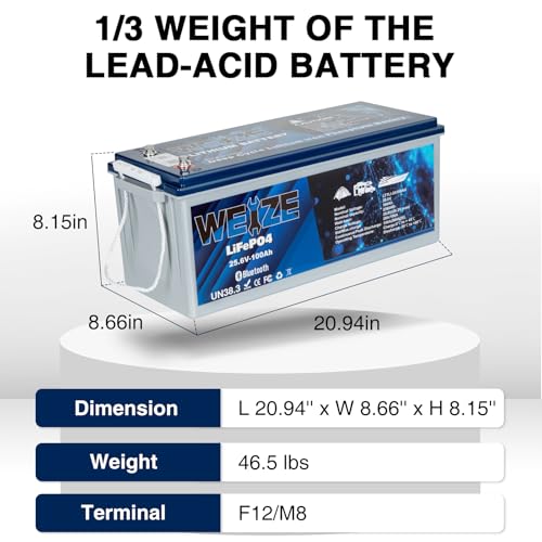 Weize 12V 100Ah LiFePO4 Lithium Battery with Smart BMS D8810