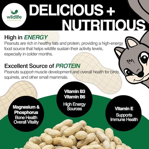 Peanut Party Raw in-Shell Peanuts Wildlife Animal Food, 25lb D103857