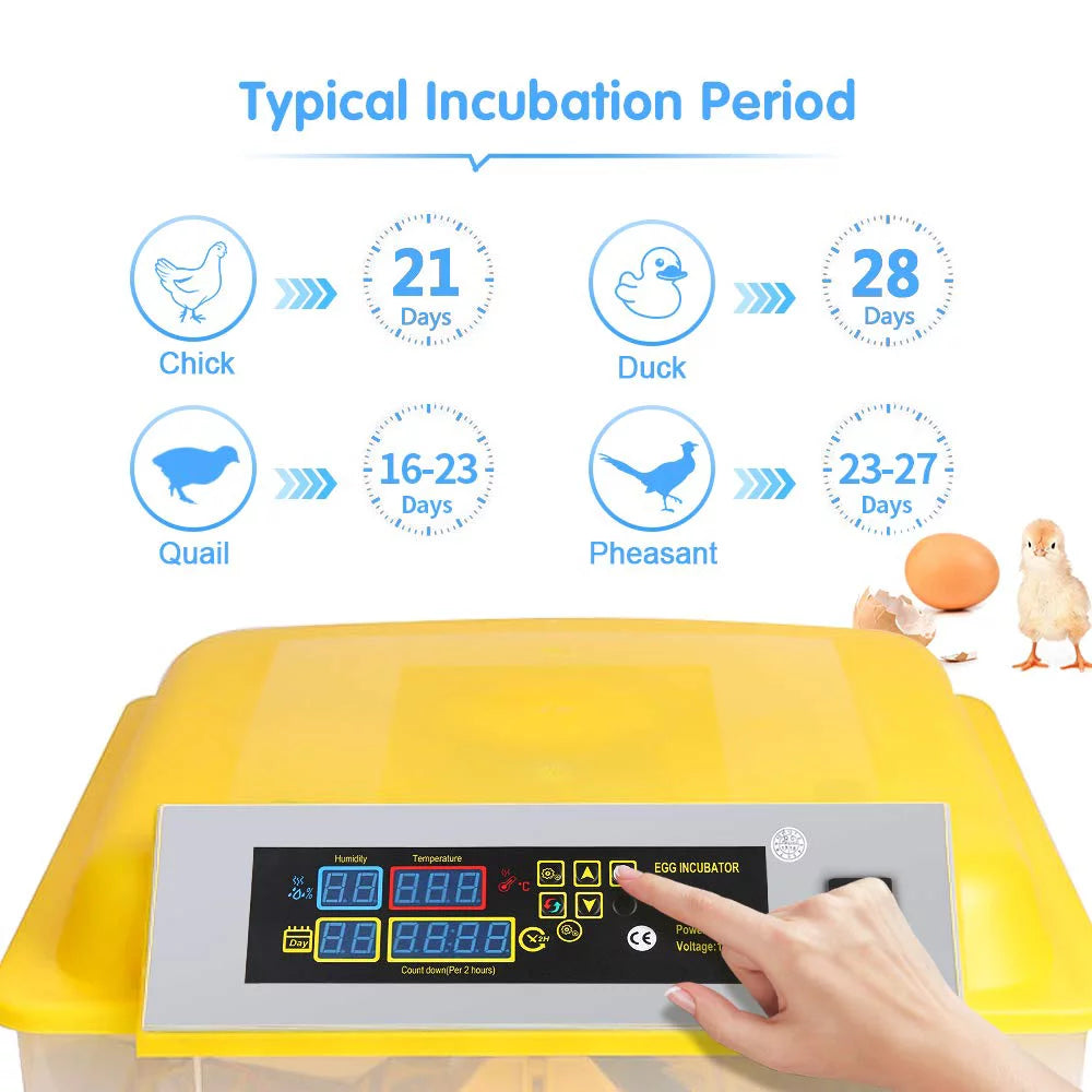 48 Egg Automatic Incubator with Temperature Control and Egg Turning U72330