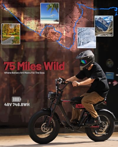 20"/16" Electric Bike 1500W Fat Tire Full Suspension for Adults G62143