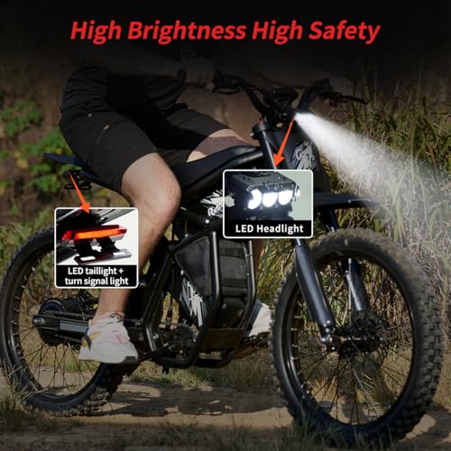 2000W/3000W GT73 Electric Dirt Bike for Adults, 25" Fat Tires, Dual Removable Battery T652