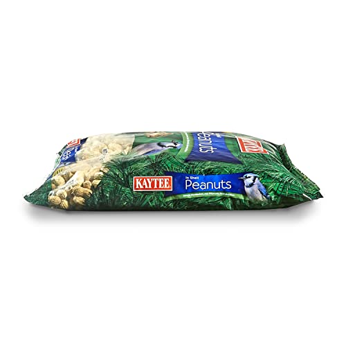 Kaytee Peanuts in Shell for Wild Birds, 10 Pound Bag T22528