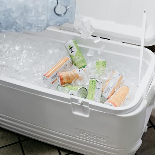 Igloo Insulated Portable Hard Shell Ice Chest Cooler L6107