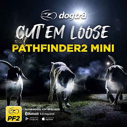 Dogtra Pathfinder 2 GPS Dog Tracker e Collar 9 Mile Range Waterproof Y2564