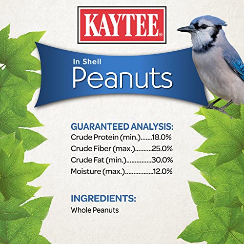 Kaytee Peanuts in Shell for Wild Birds, 10 Pound Bag T22528