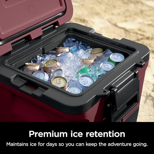 Ninja FrostVault 45QT Cooler with Wheels, Lakeshore Blue M1144