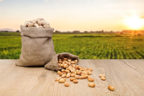 Fruidles Raw Peanuts in Shell, 25 Pound Bag C956862