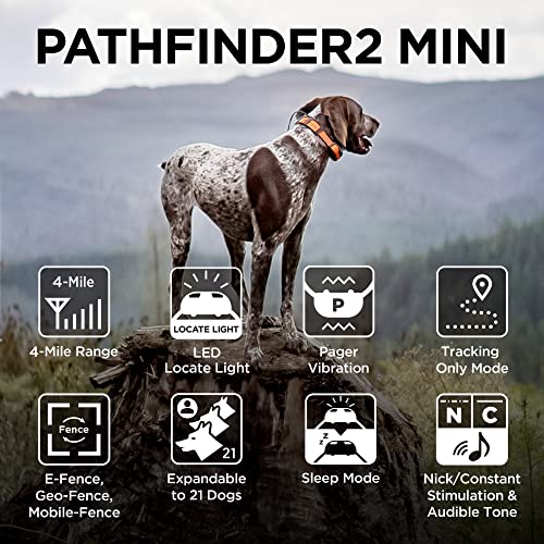 Dogtra Pathfinder 2 GPS Dog Tracker e Collar 9 Mile Range Waterproof Y2564