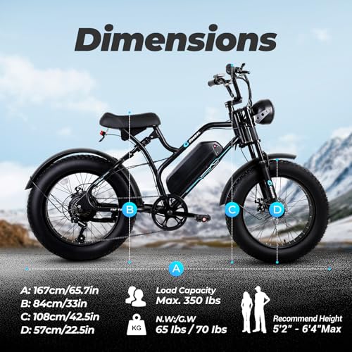 Fat Tire Electric Bike for Adults 1500W 48V 20x4" All Terrain W487